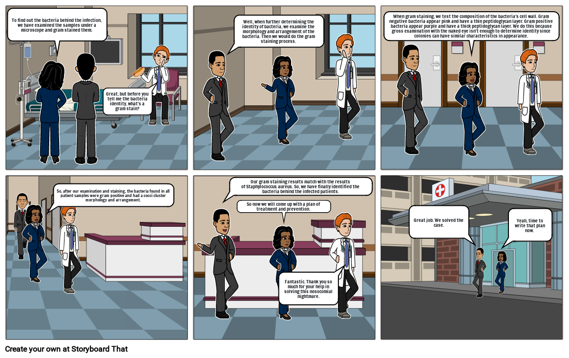 Gram Staining Storyboard by dded7925