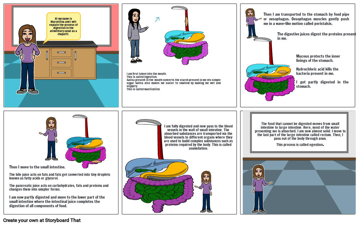 Digestion Storyboard by debasis