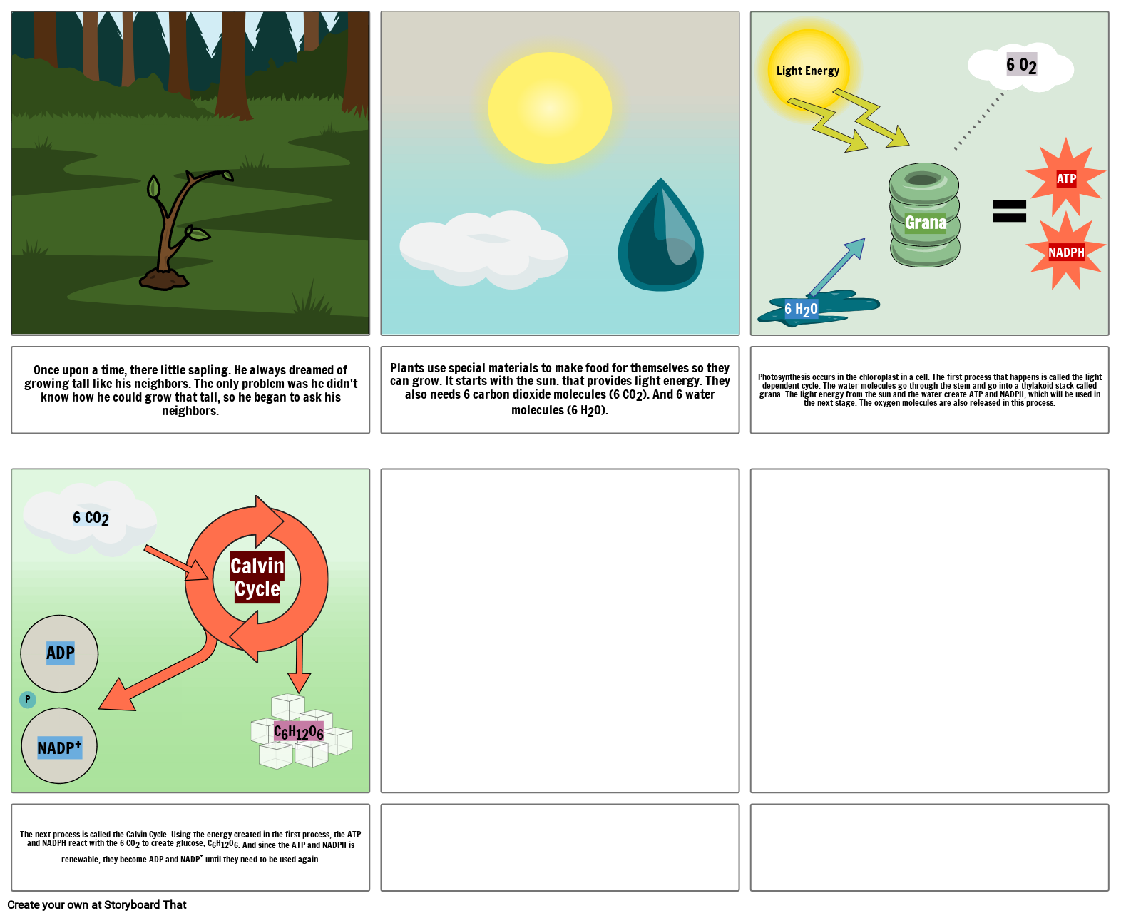 Photosynthesis Story Storyboard Par Df040fb5 photosynthesis-story-storyboard-par-df040fb5