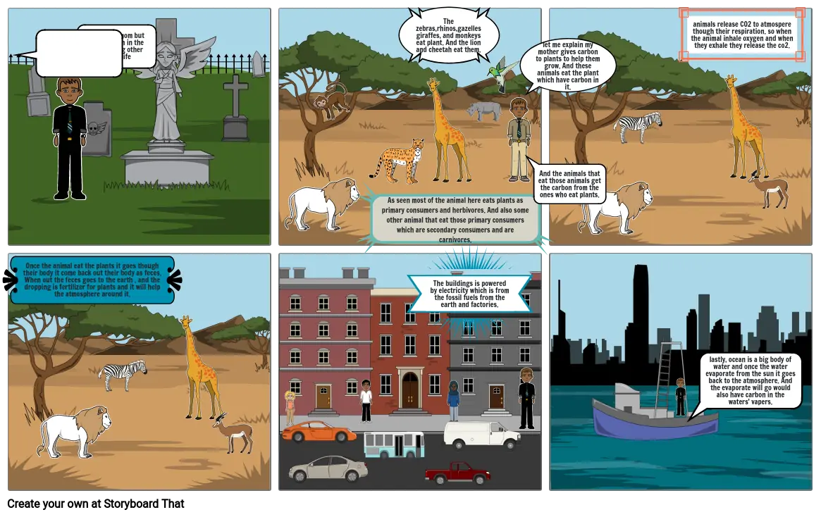 The carbon cycle