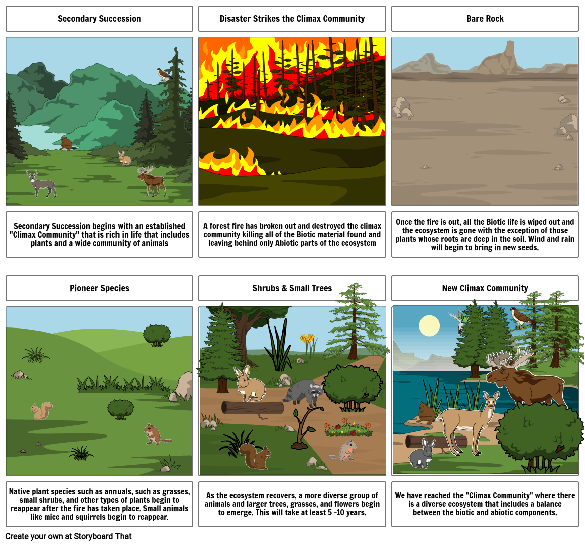 Secondary Succession Storyboard by don48766