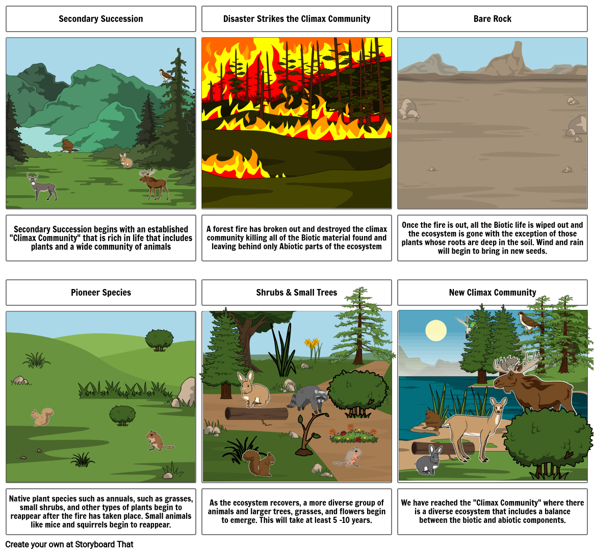 Secondary Succession