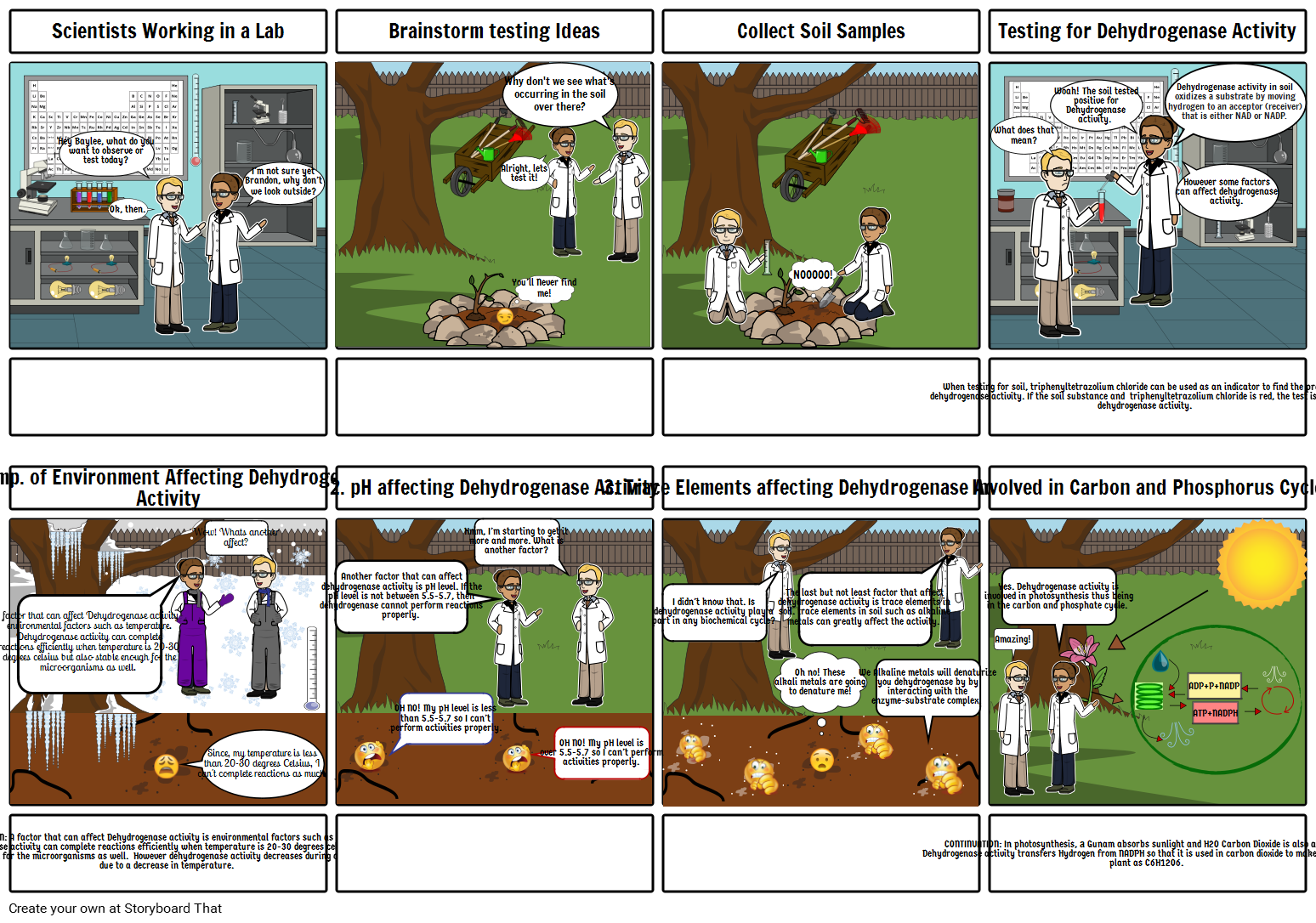 dyhydrogenase-enzmye-activity-storyboard-por-e0f279e743846