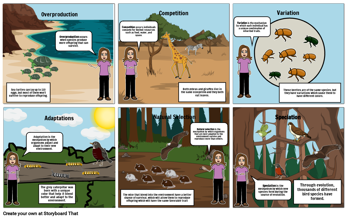 Charles darwin Storyboard par e1298993