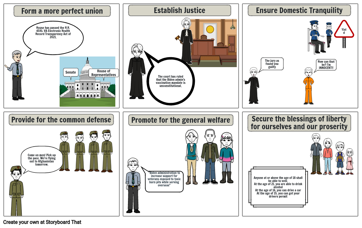 6 Goals of the Preamble