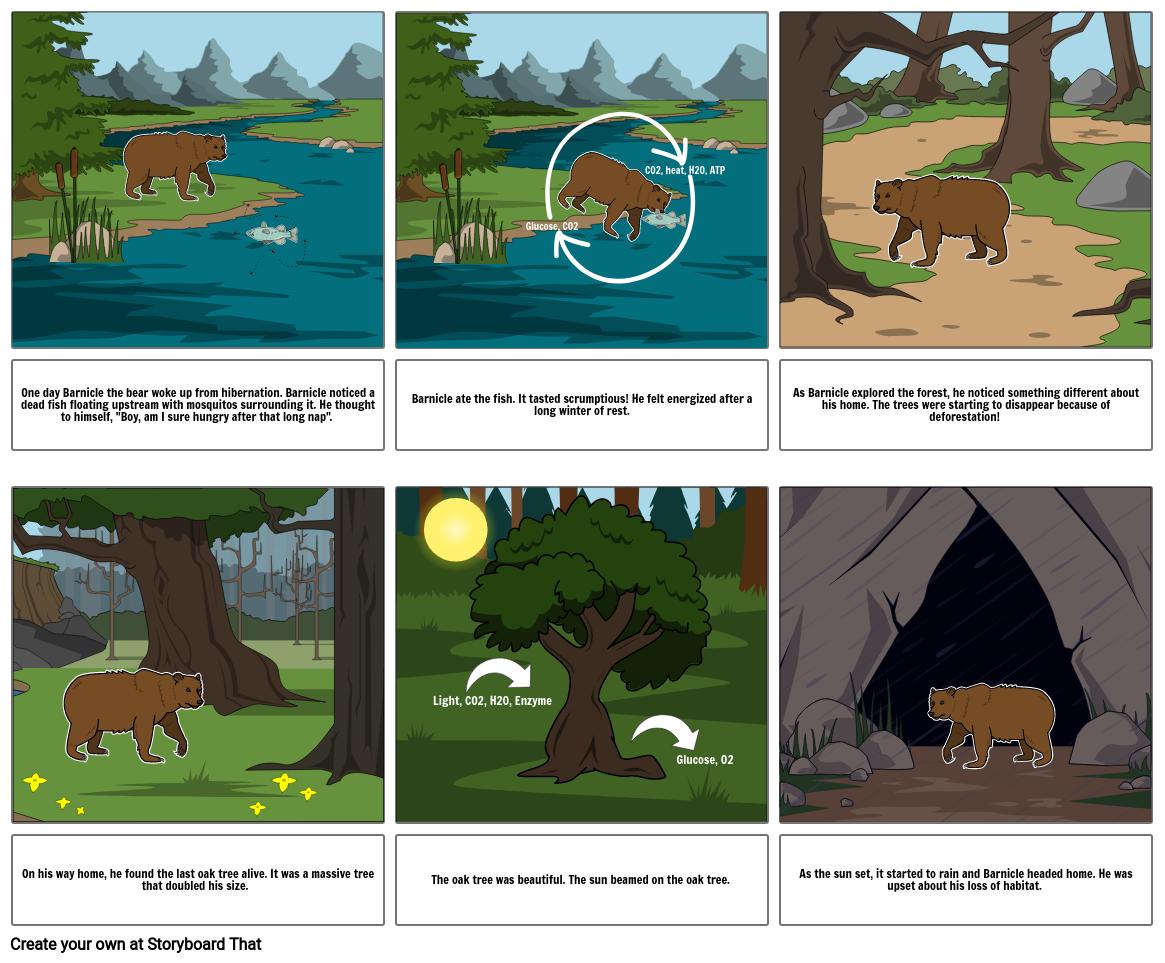 Biology Storyboard