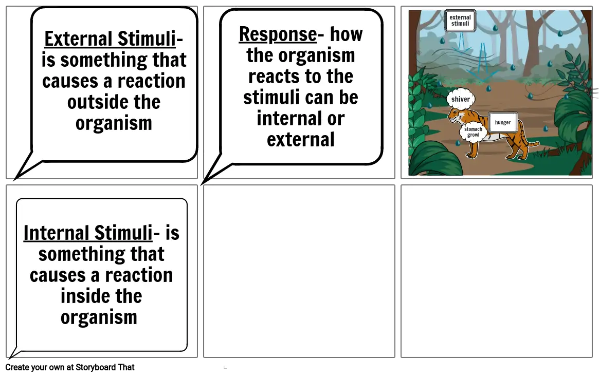 Stimuli and Response Project