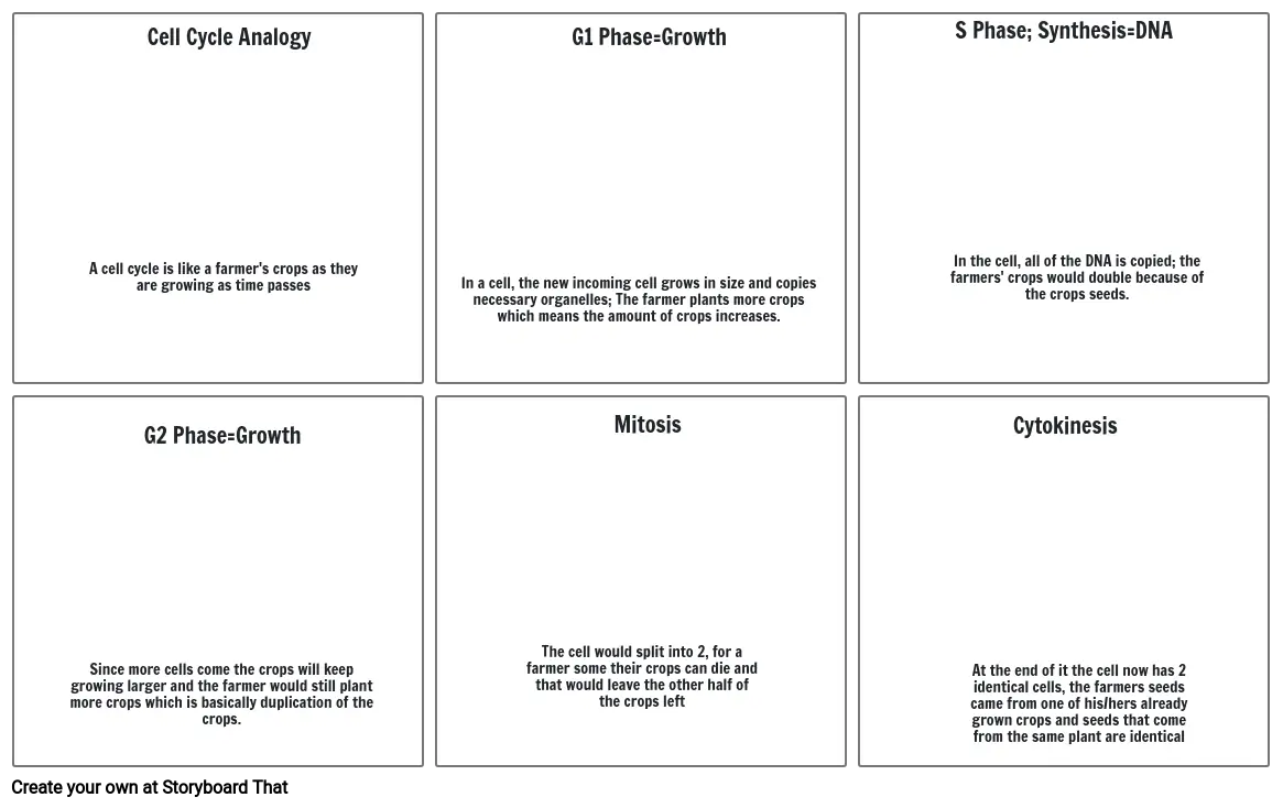 Cell Cycle Analogy