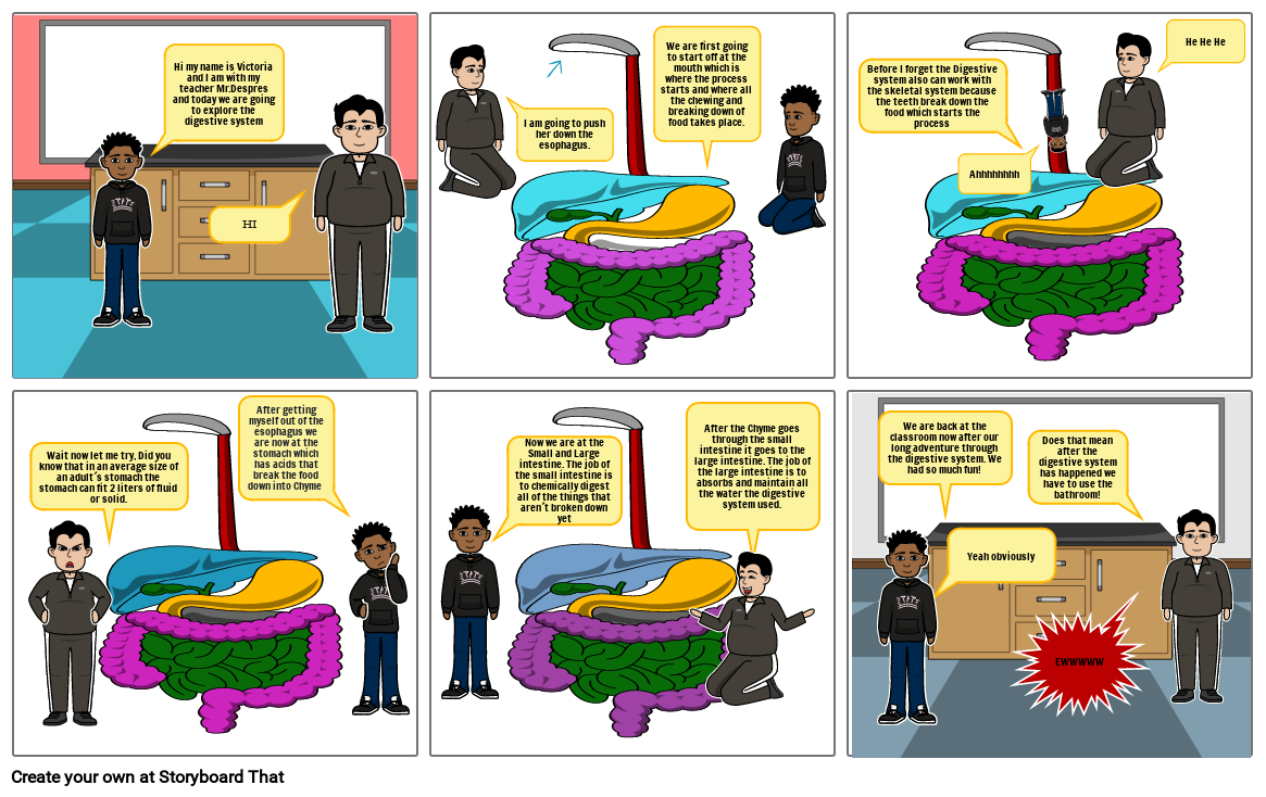 Digestive System Storyboard By E7339511