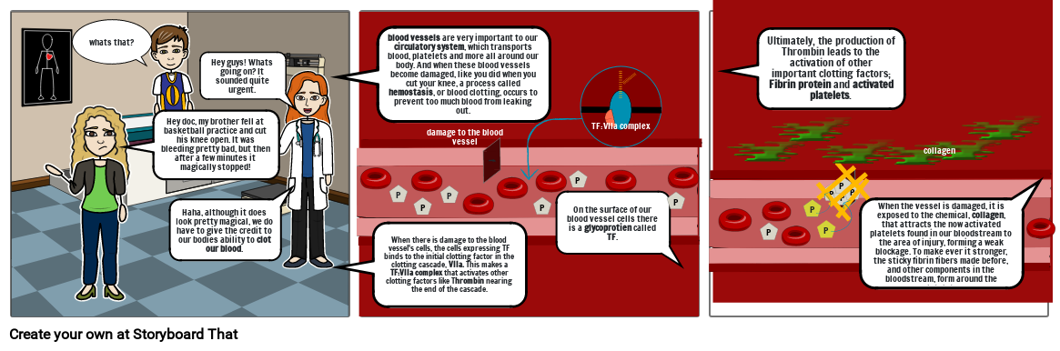 Blood clot formation Storyboard por e80e0618