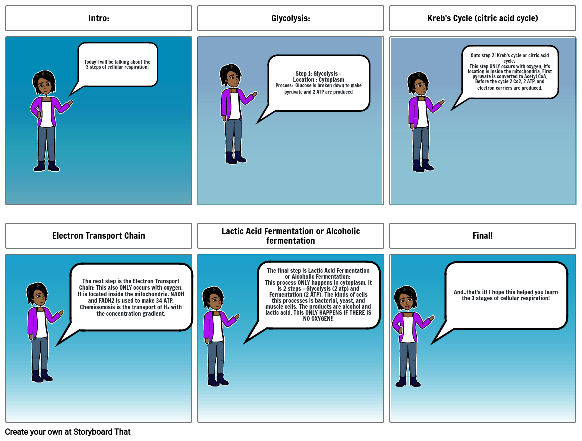 the-3-steps-of-cellular-respiration-storyboard