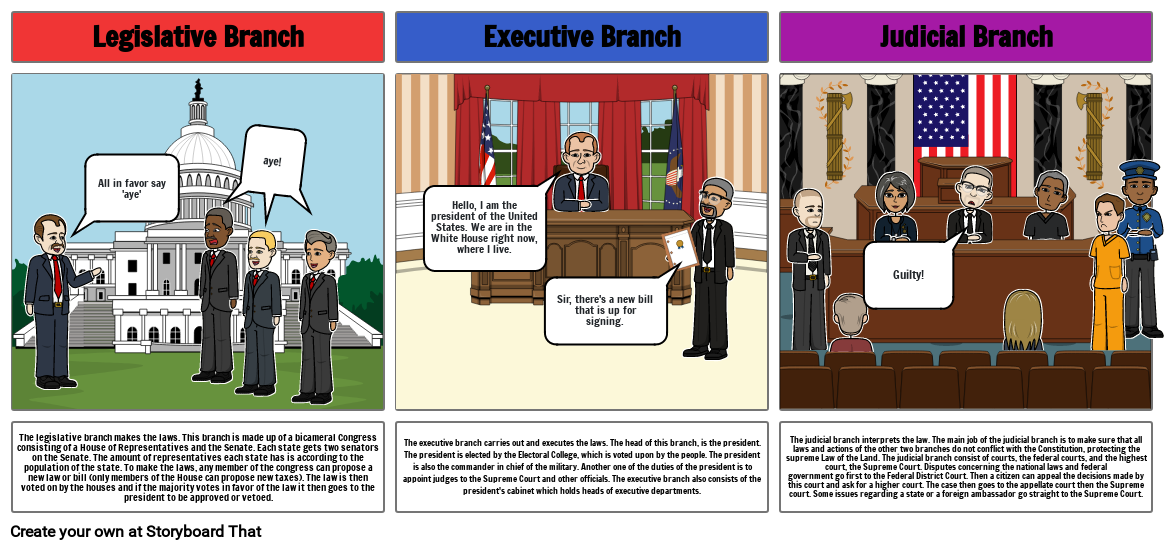 3 Branches of Government