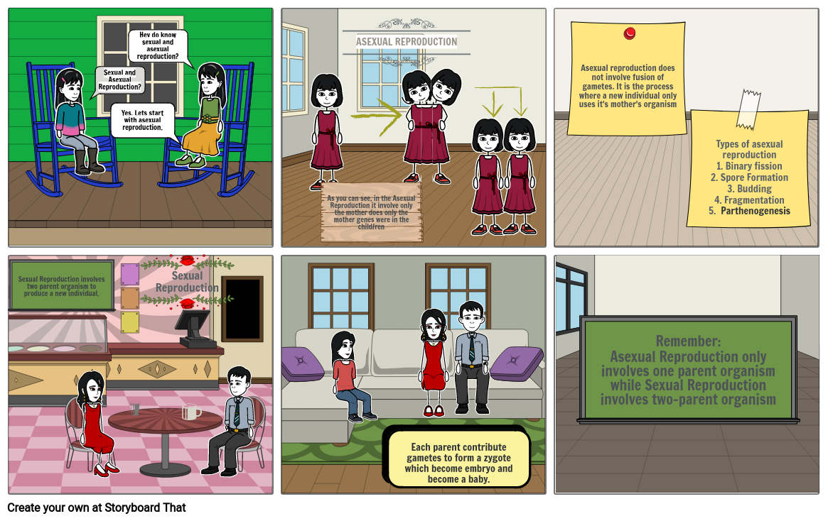 The Sexual And Asexual Reproduction Storyboard 0590