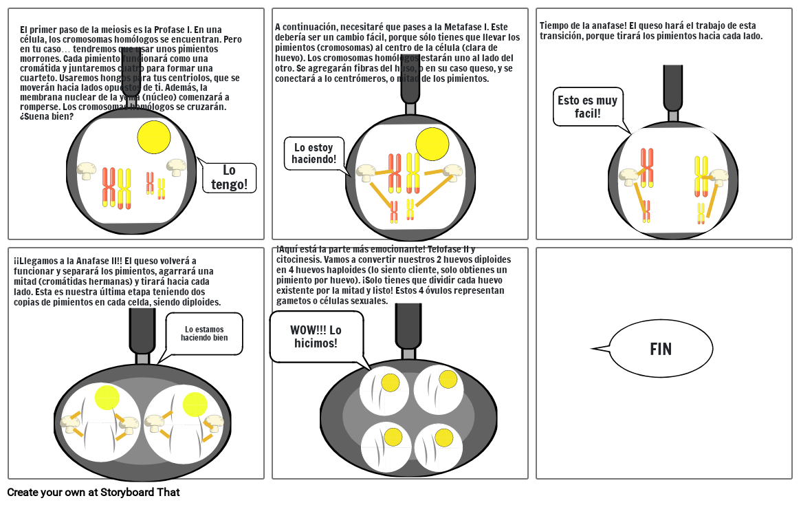 meiosis 2 anafase