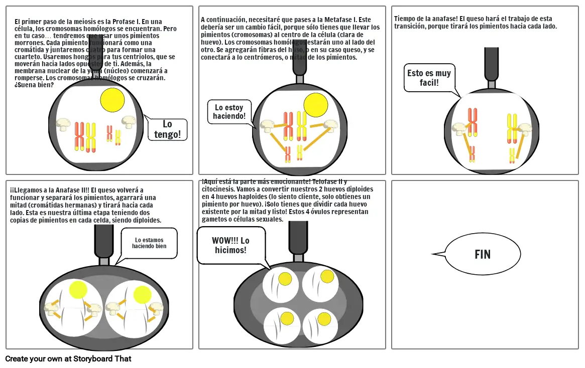 LA MEIOSIS, RECETA