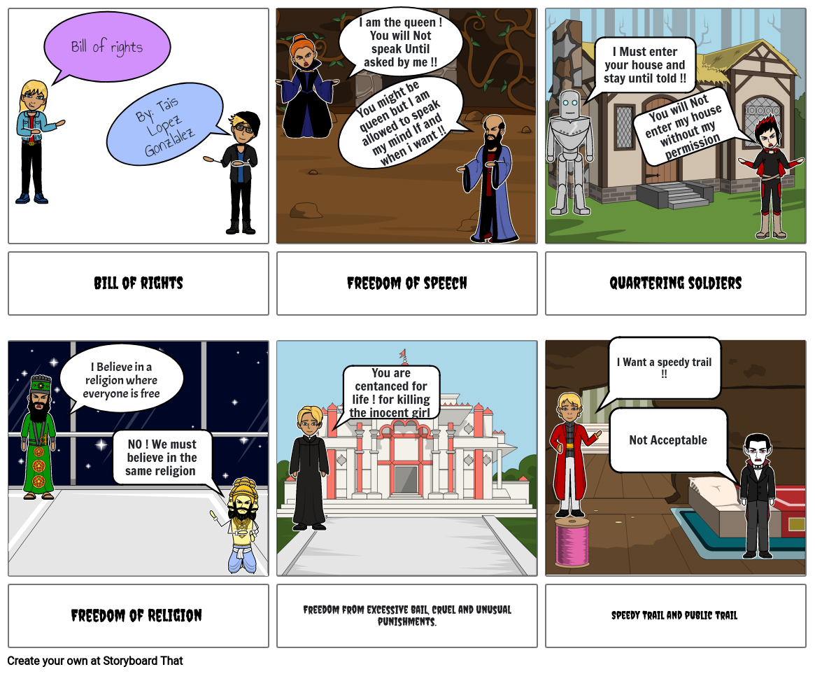 bill-of-rights-by-tais-lopez-storyboard-by-eb3348b7