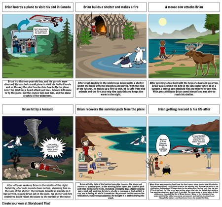 The Hatchet - Story of Brian Robeson