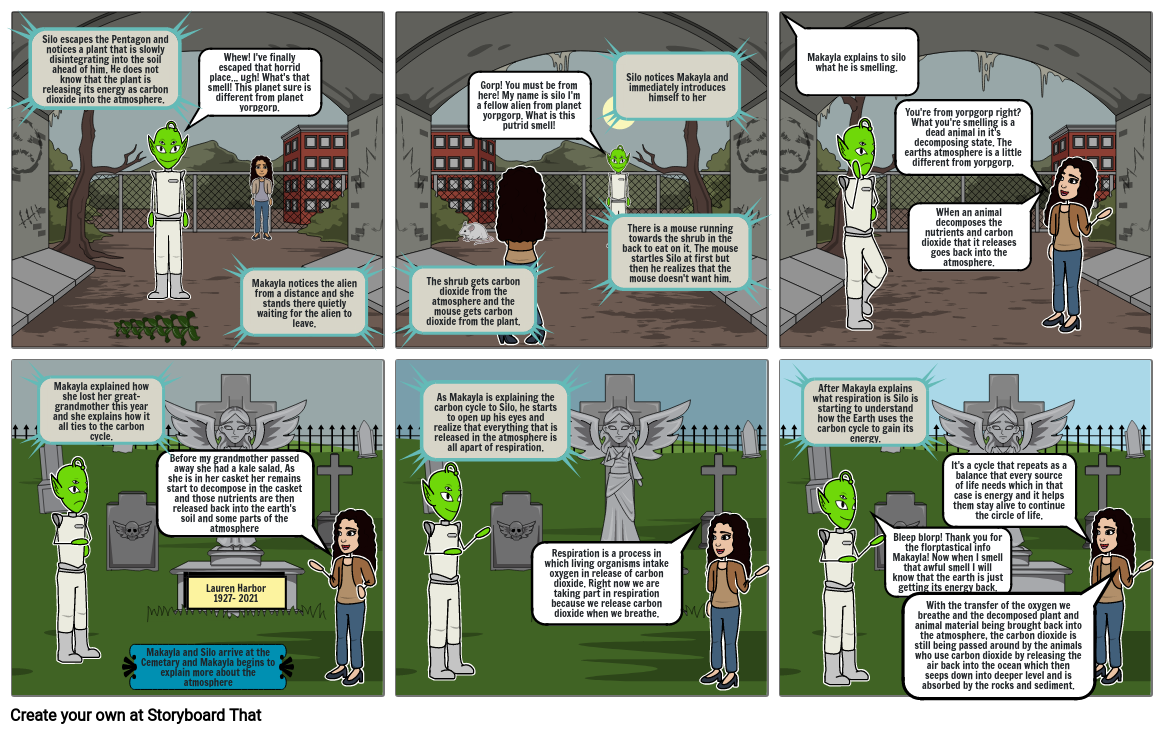 THE CARBON CYCLE