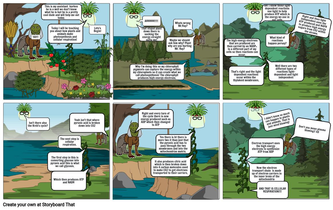 Photosynthesis and Cellular respiration Storyboard