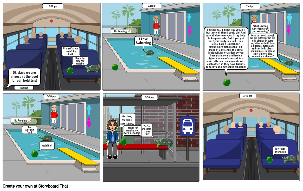 Pool Party Problem Storyboard par ecf3a705