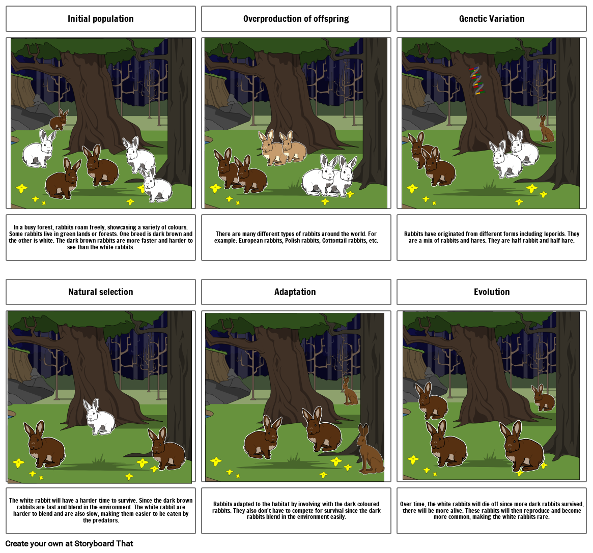Natural Selection Storyboard By Ed958731 natural-selection-storyboard-by-ed958731