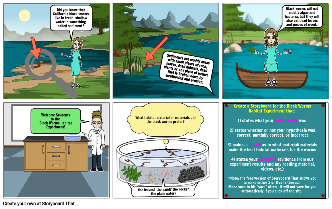 California Black Worms/Black Worm Habitat Storyboard