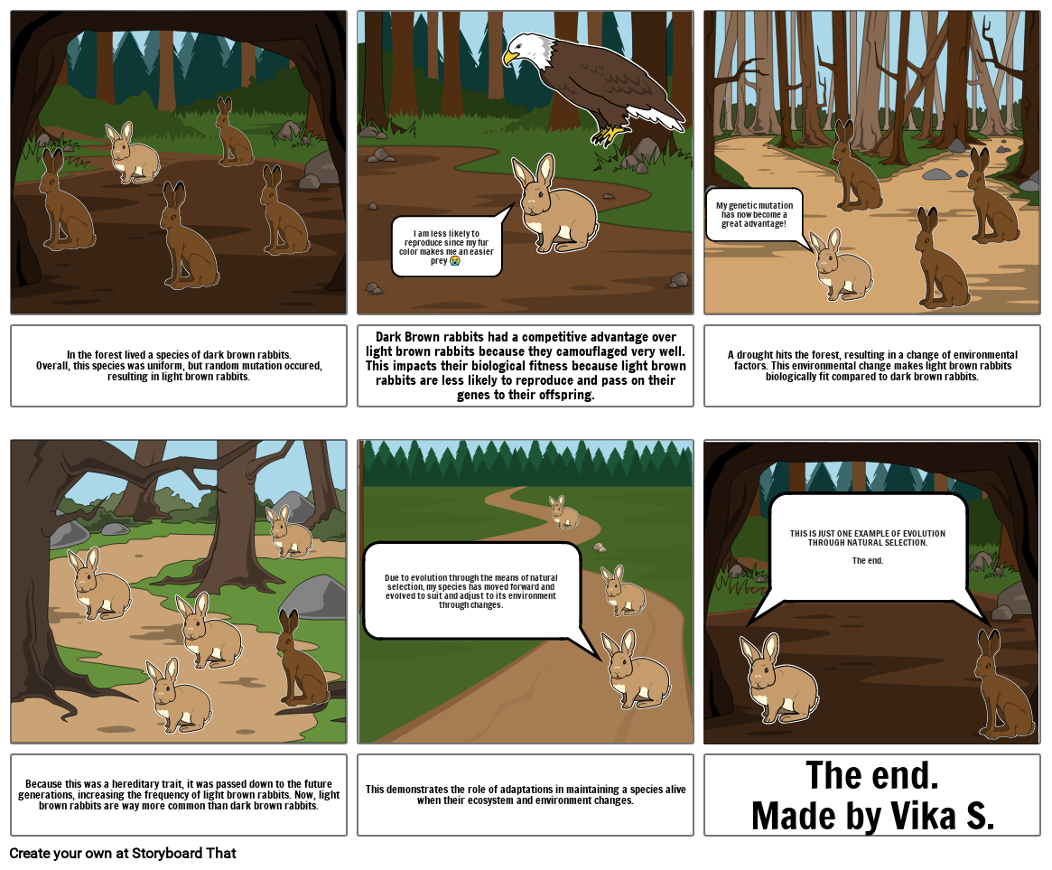 Evolution of Light Brown Rabbits in a Forest Storyboard