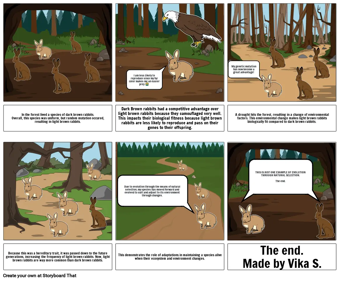 Evolution of Light Brown Rabbits in a Forest