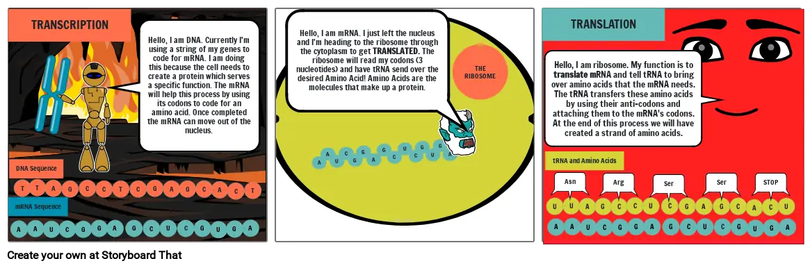 Protein Synthesis