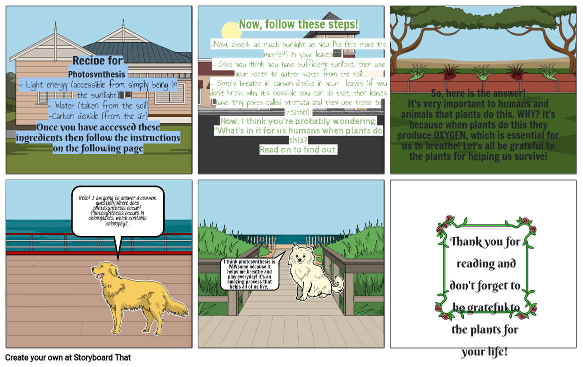 Photosynthesis Storyboard