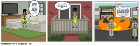 Profile Story Graphic Organizer