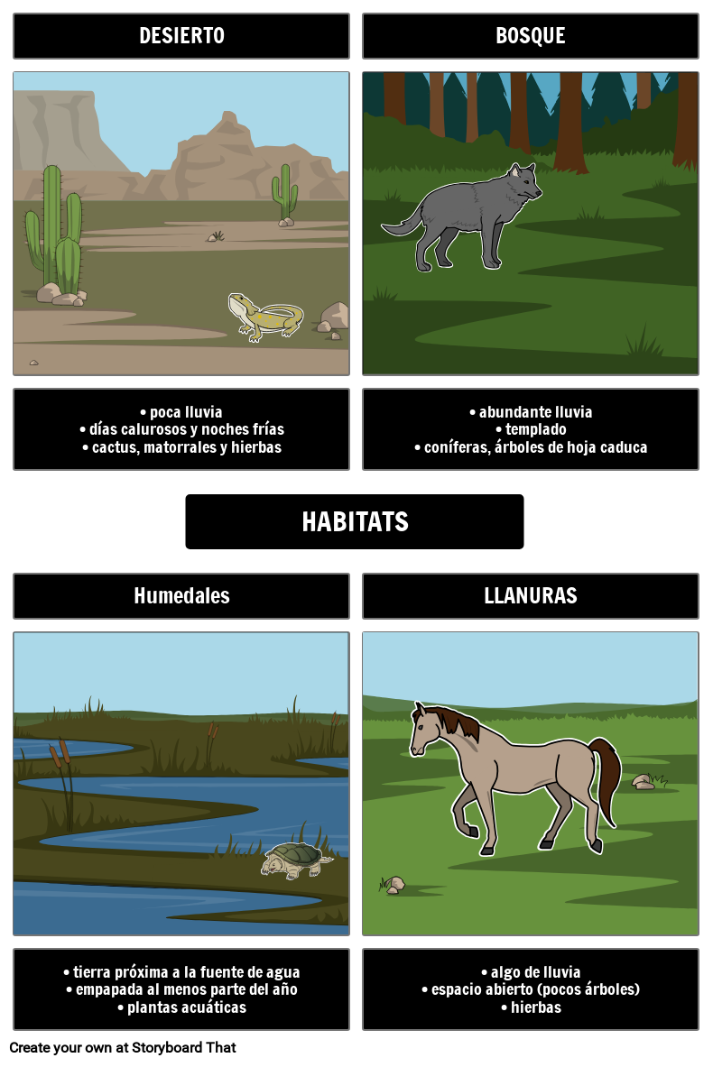 Modelo Frayer Hábitats Storyboard by esexamples