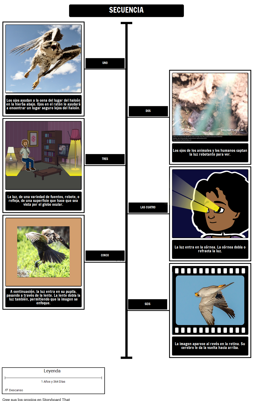 ver-el-ojo-a-ojo-resumir-el-texto-storyboard