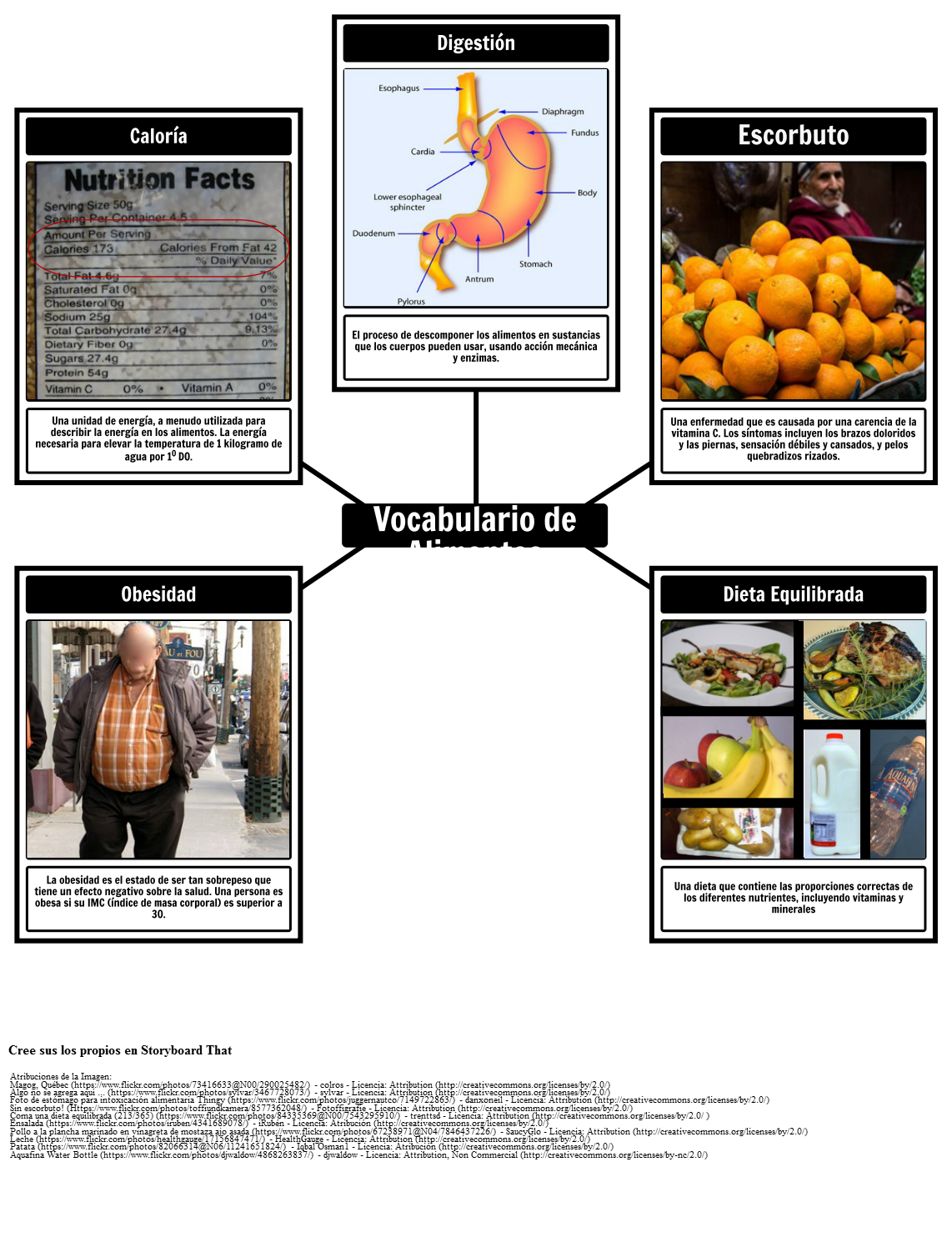 Vocabulario De Alimentación Y Nutrición Storyboard 4315
