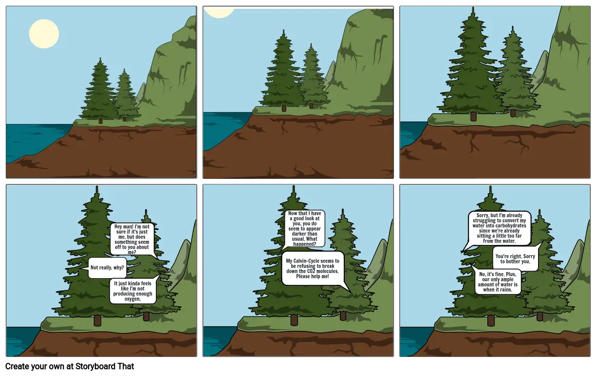 Photosynthesis Comic Strip