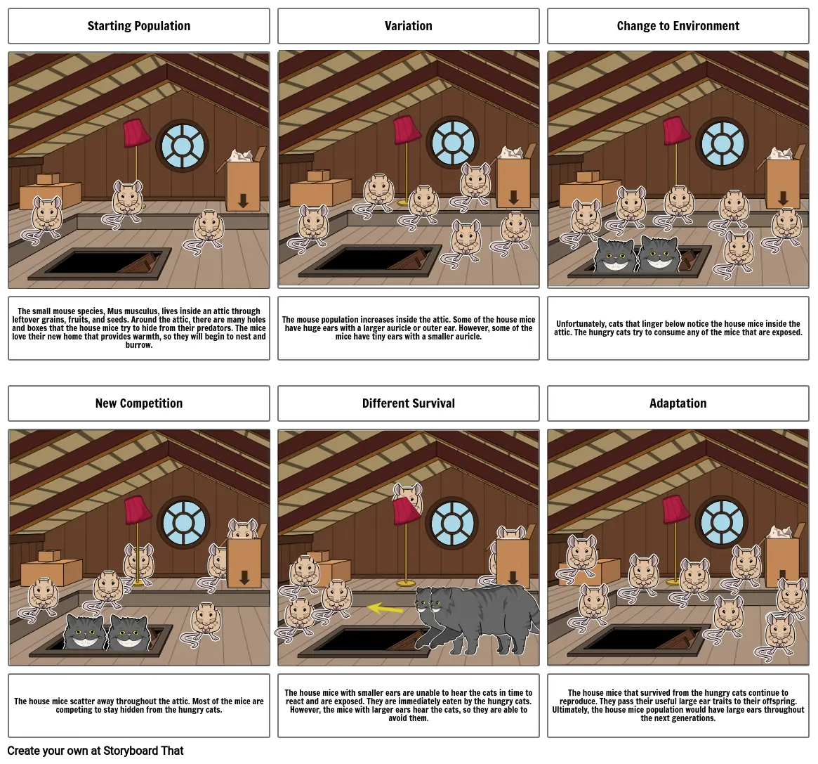 Natural Selection Storyboard Project