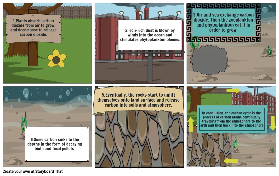 The Carbon Cycle