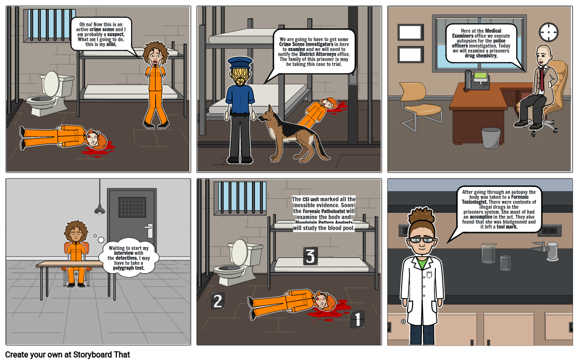crime-scene-basics-project-storyboard-by-f25c721d