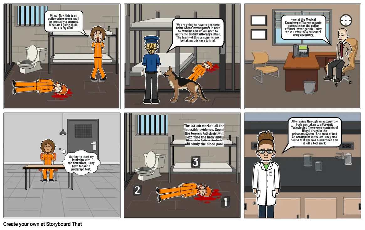 Crime Scene Basics Project Storyboard By F25c721d