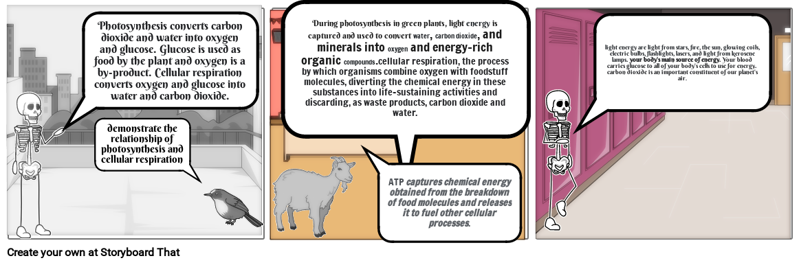 cellularenergy and transport