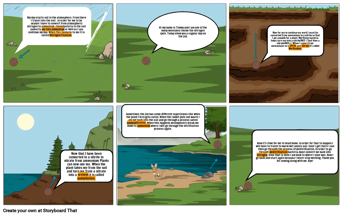 Nitrogen Cycle