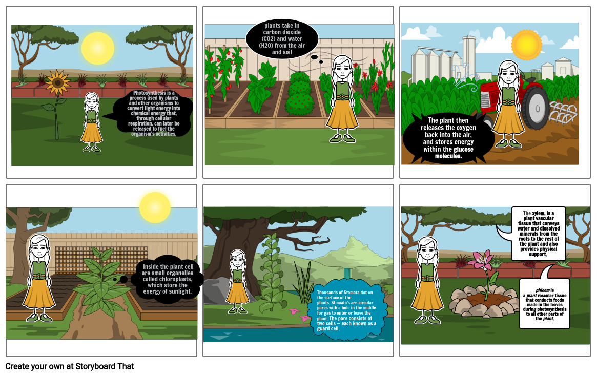 photosynthesis-explanation-comic-strip-storyboard