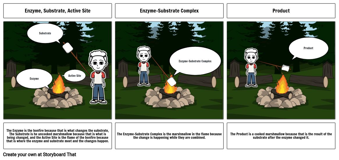 enzyme-substrate-complex-storyboard-by-f38e88f3