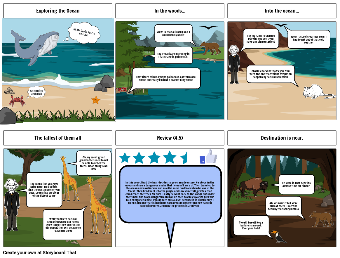 Whale Storyboard par f420f935