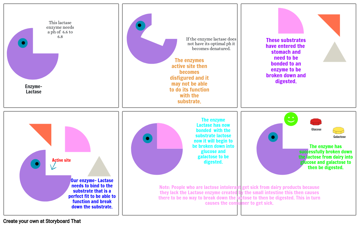 Enzyme & Substrate Comic