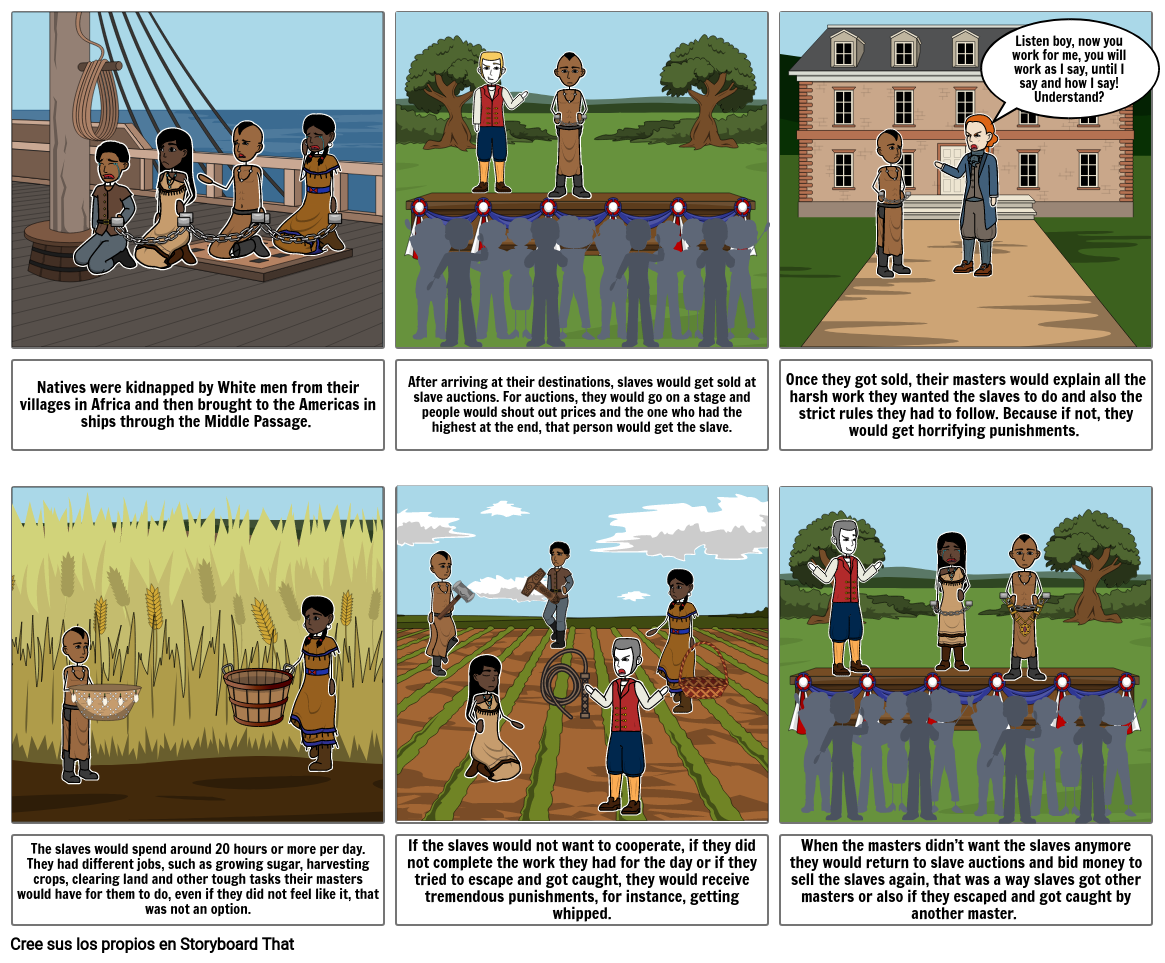 Cotton Plantation Diagram