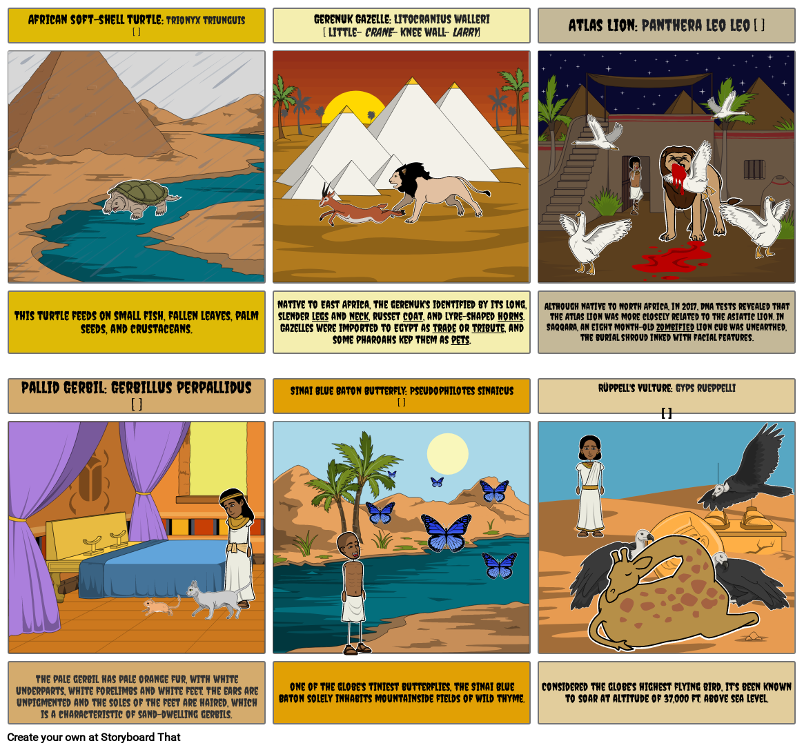 Lesser Known Egyptain Animals