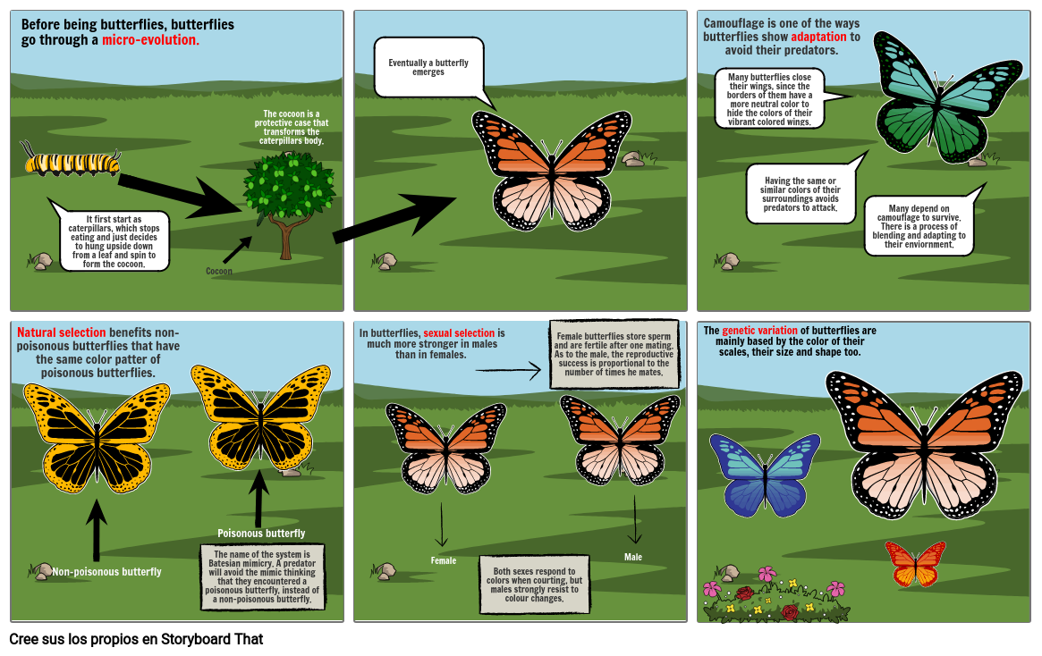 comic biology Storyboard by fb7b39cd
