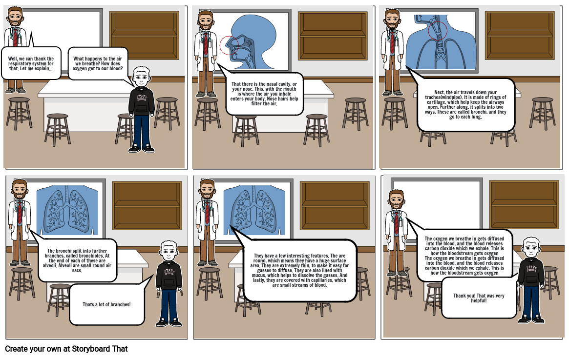 The Respiratory System Storyboard by fbd81fdb