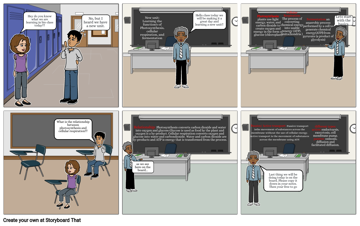 Cellular Energy and Transportation Storyboard 2